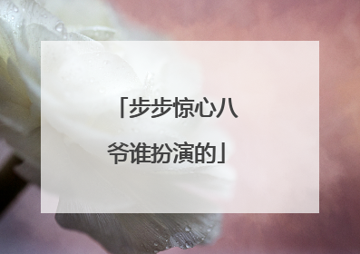 步步惊心八爷谁扮演的