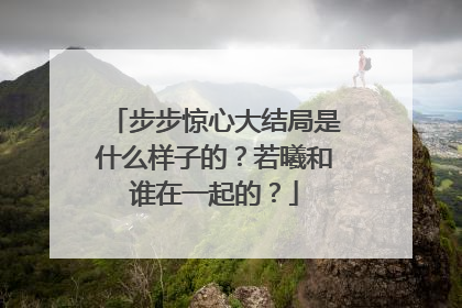 步步惊心大结局是什么样子的？若曦和谁在一起的？