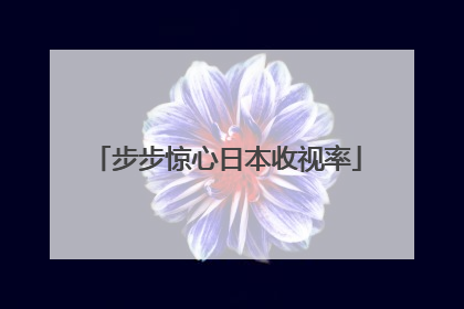 步步惊心日本收视率