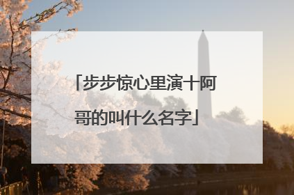 步步惊心里演十阿哥的叫什么名字