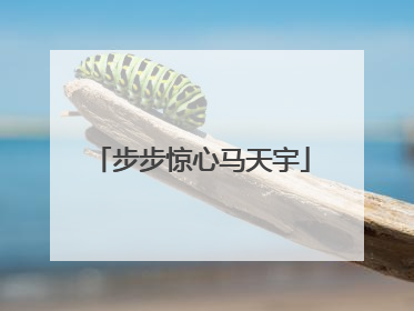 步步惊心马天宇