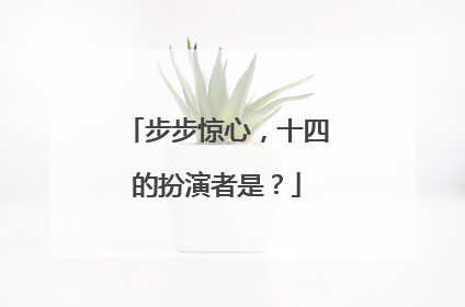 步步惊心，十四的扮演者是？