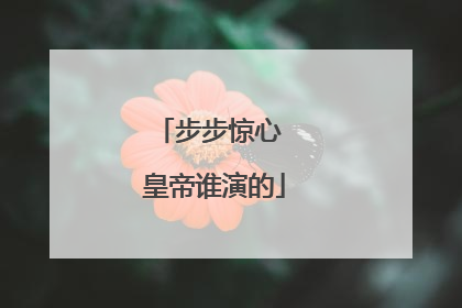 步步惊心 皇帝谁演的
