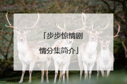 步步惊情剧情分集简介