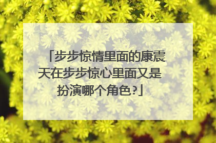 步步惊情里面的康震天在步步惊心里面又是扮演哪个角色?