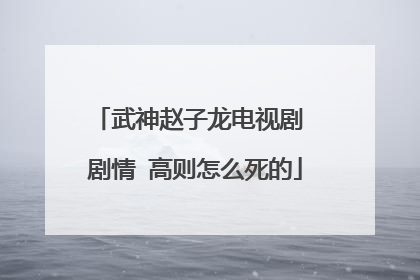 武神赵子龙电视剧 剧情 高则怎么死的