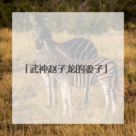 武神赵子龙的妻子