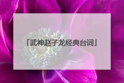 武神赵子龙经典台词