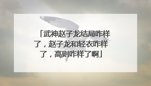 武神赵子龙结局咋样了，赵子龙和轻衣咋样了，高则咋样了啊