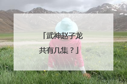 武神赵子龙共有几集?