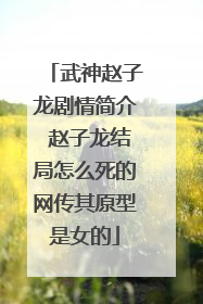 武神赵子龙剧情简介 赵子龙结局怎么死的网传其原型是女的