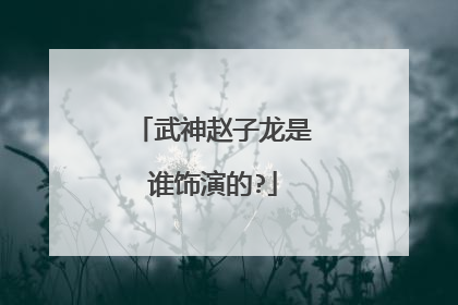 武神赵子龙是谁饰演的?