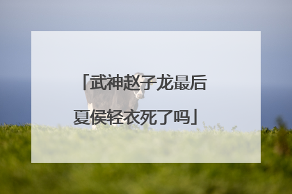 武神赵子龙最后夏侯轻衣死了吗