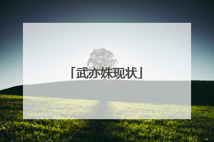 武亦姝现状