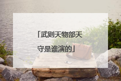 武则天物部天守是谁演的