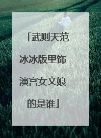 武则天范冰冰版里饰演宫女文娘的是谁