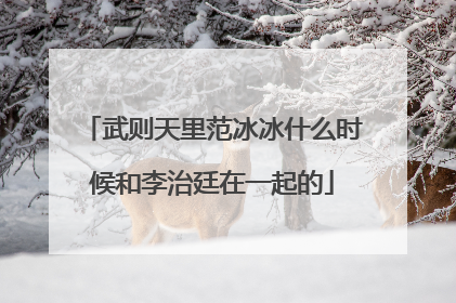 武则天里范冰冰什么时候和李治廷在一起的