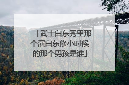武士白东秀里那个演白东修小时候的那个男孩是谁