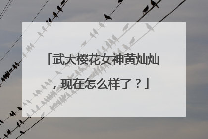 武大樱花女神黄灿灿,现在怎么样了?