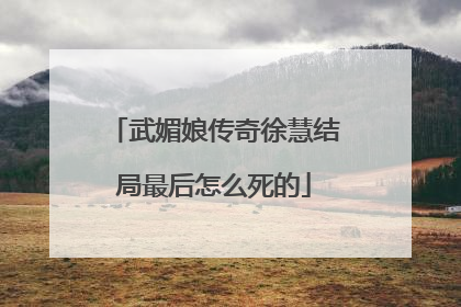 武媚娘传奇徐慧结局最后怎么死的