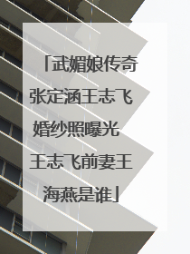武媚娘传奇张定涵王志飞婚纱照曝光 王志飞前妻王海燕是谁