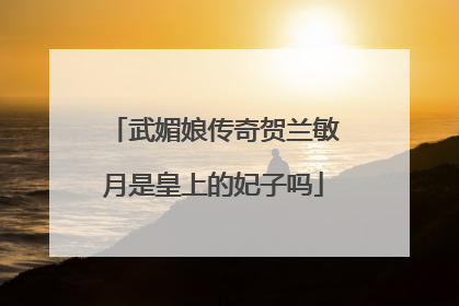 武媚娘传奇贺兰敏月是皇上的妃子吗