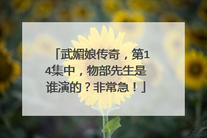 武媚娘传奇，第14集中，物部先生是谁演的？非常急！