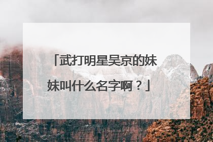 武打明星吴京的妹妹叫什么名字啊?