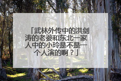 武林外传中的洪剑涛的老婆和东北一家人中的小玲是不是一个人演的啊?