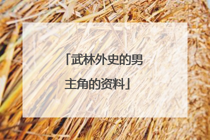 武林外史的男主角的资料