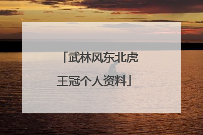 武林风东北虎王冠个人资料