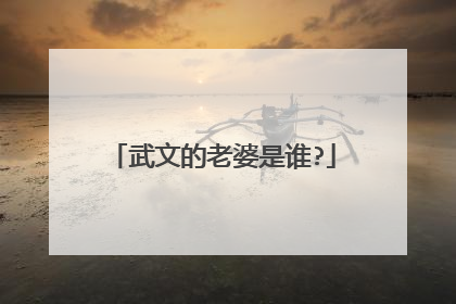 武文的老婆是谁?