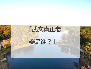 武文真正老婆是谁？