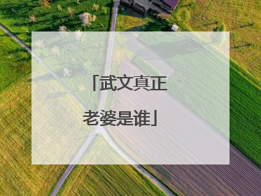 武文真正老婆是谁