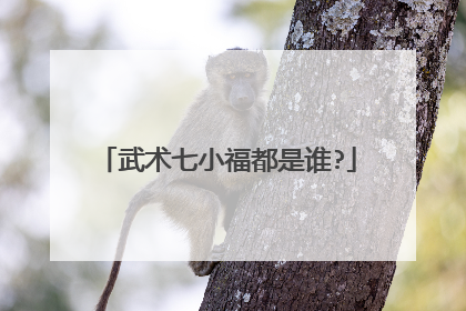 武术七小福都是谁?