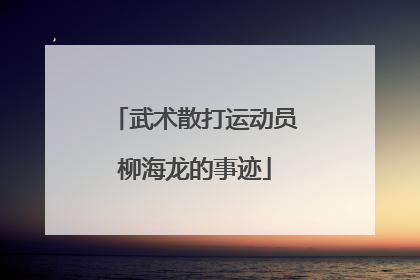 武术散打运动员柳海龙的事迹