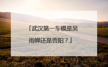 武汉第一车模是吴雨婵还是曹阳？