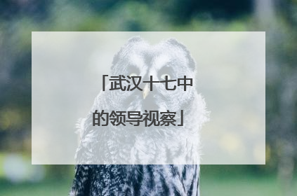 武汉十七中的领导视察