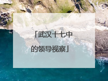 武汉十七中的领导视察