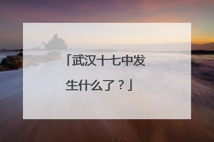 武汉十七中发生什么了？