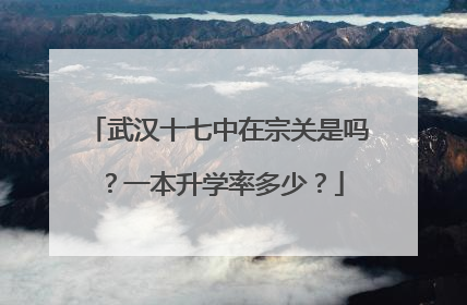 武汉十七中在宗关是吗？一本升学率多少？