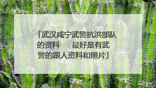 武汉咸宁武警抗洪部队的资料   最好是有武警的跟人资料和照片
