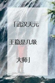 武汉天元王稳是几级大师