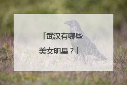 武汉有哪些美女明星？