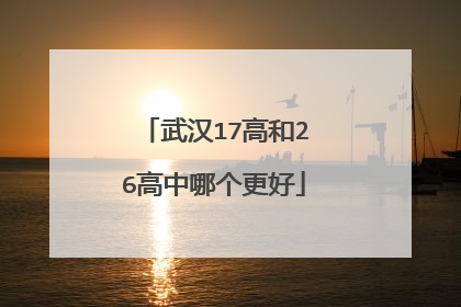 武汉17高和26高中哪个更好