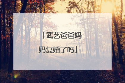 武艺爸爸妈妈复婚了吗