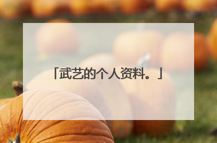 武艺的个人资料。