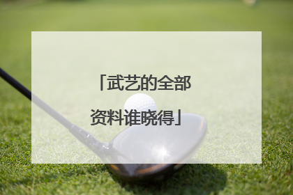 武艺的全部资料谁晓得