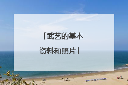 武艺的基本资料和照片
