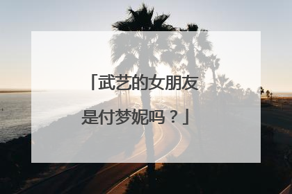 武艺的女朋友是付梦妮吗?